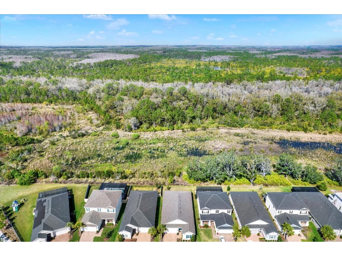 13659 Stansil Avenue Odessa FL 33556 TB8453303 image37