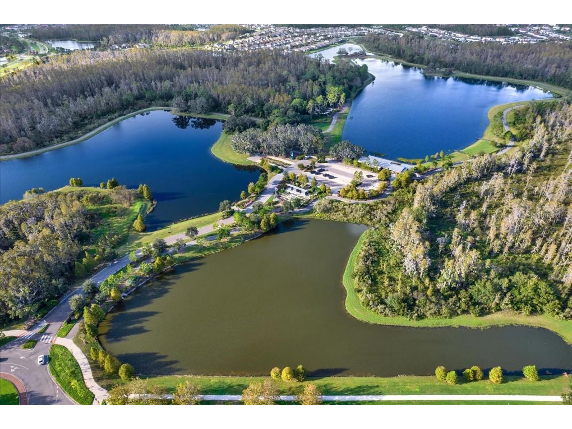 13659 Stansil Avenue Odessa FL 33556 TB8453303 image44