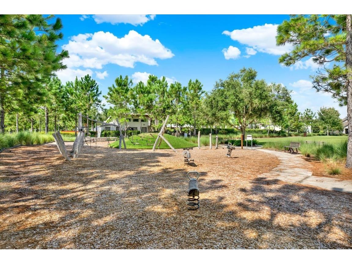 13659 Stansil Avenue Odessa FL 33556 TB8453303 image45