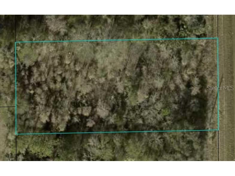 1366 County Road 305 Bunnell FL 32110 FC312111 image1