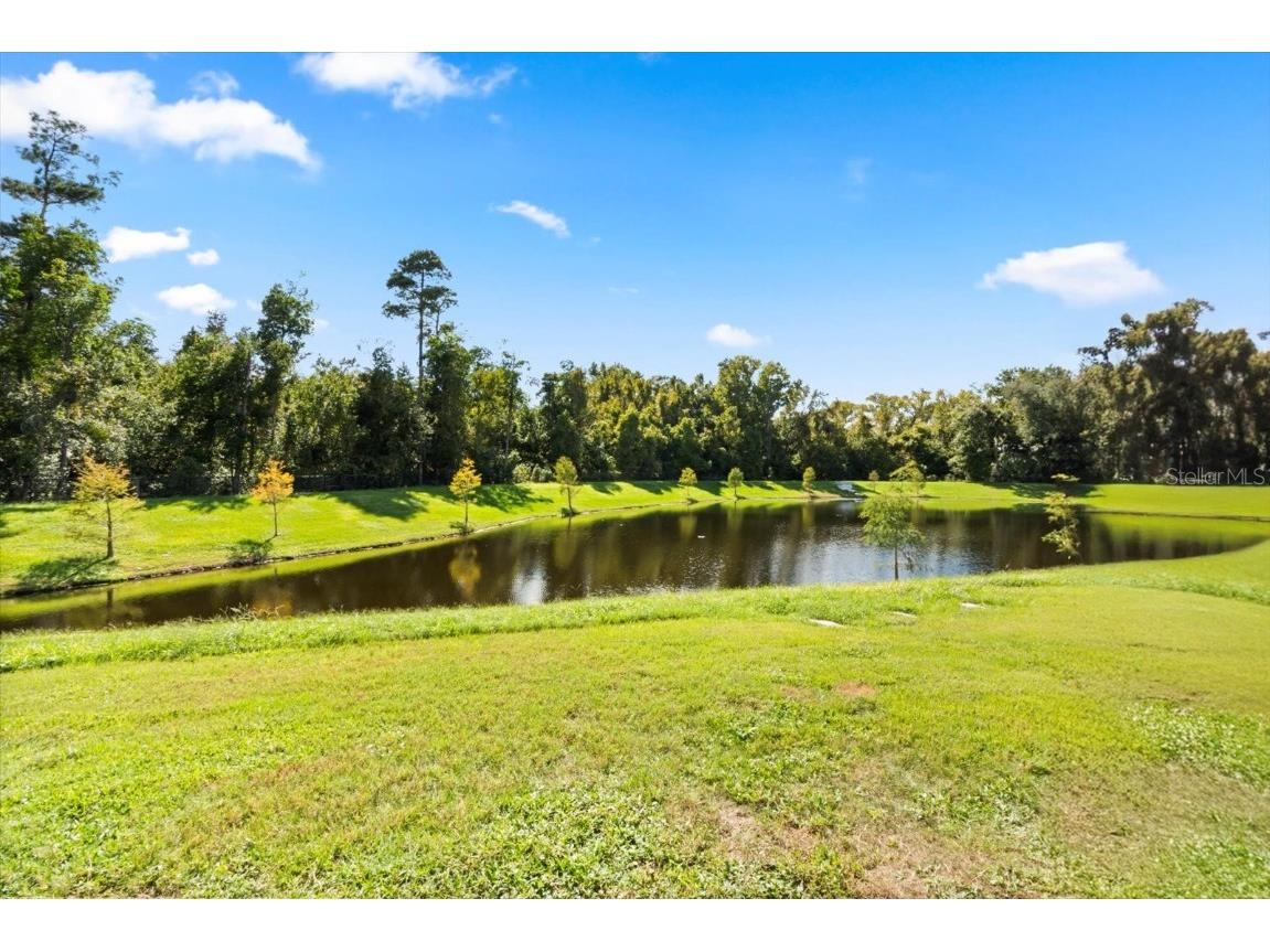 1366 Greenfield Loop Kissimmee FL 34747 S5136862 image4