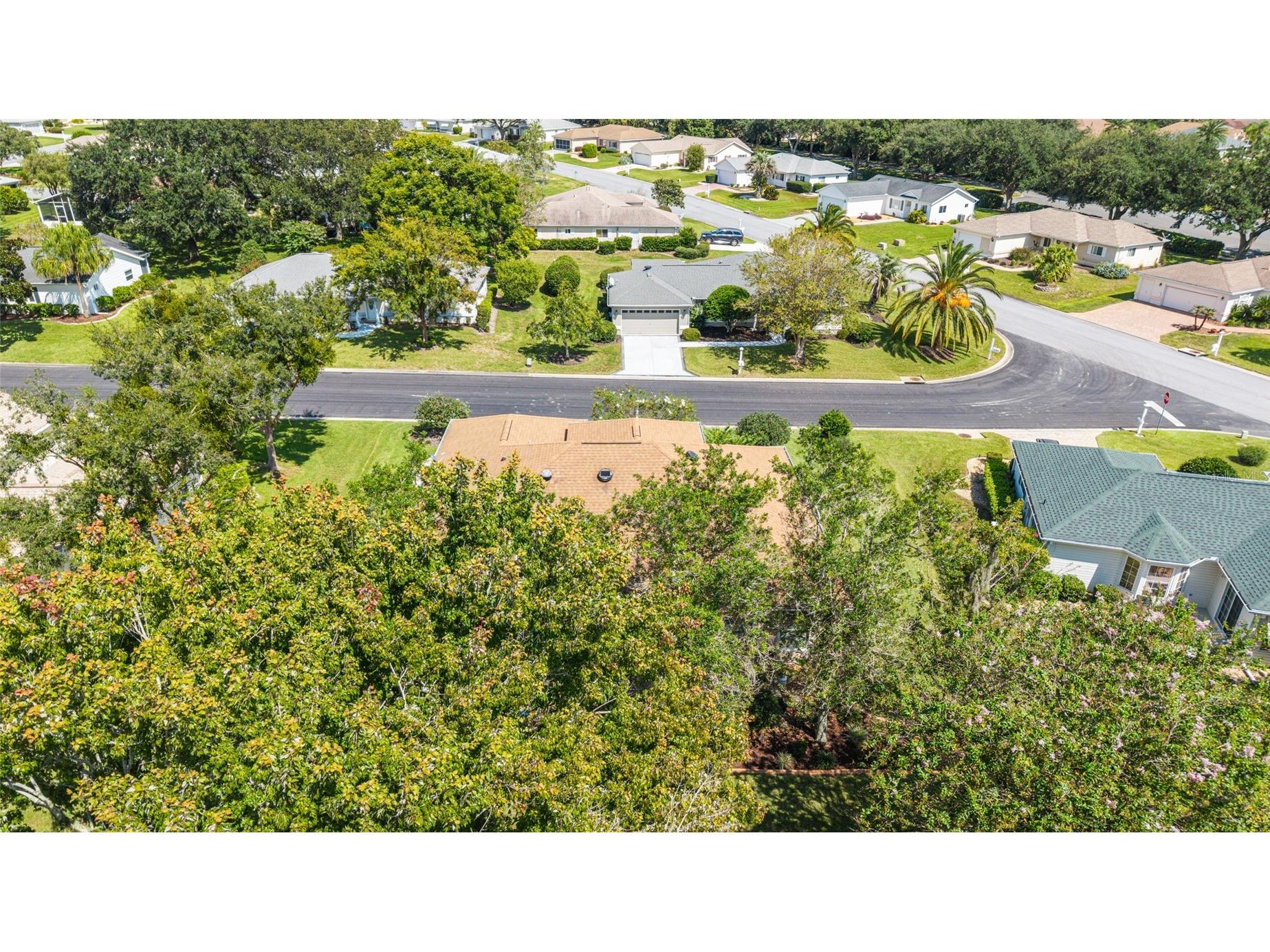 13660 SE 90th Terrace Summerfield FL 34491 OM708969 image64