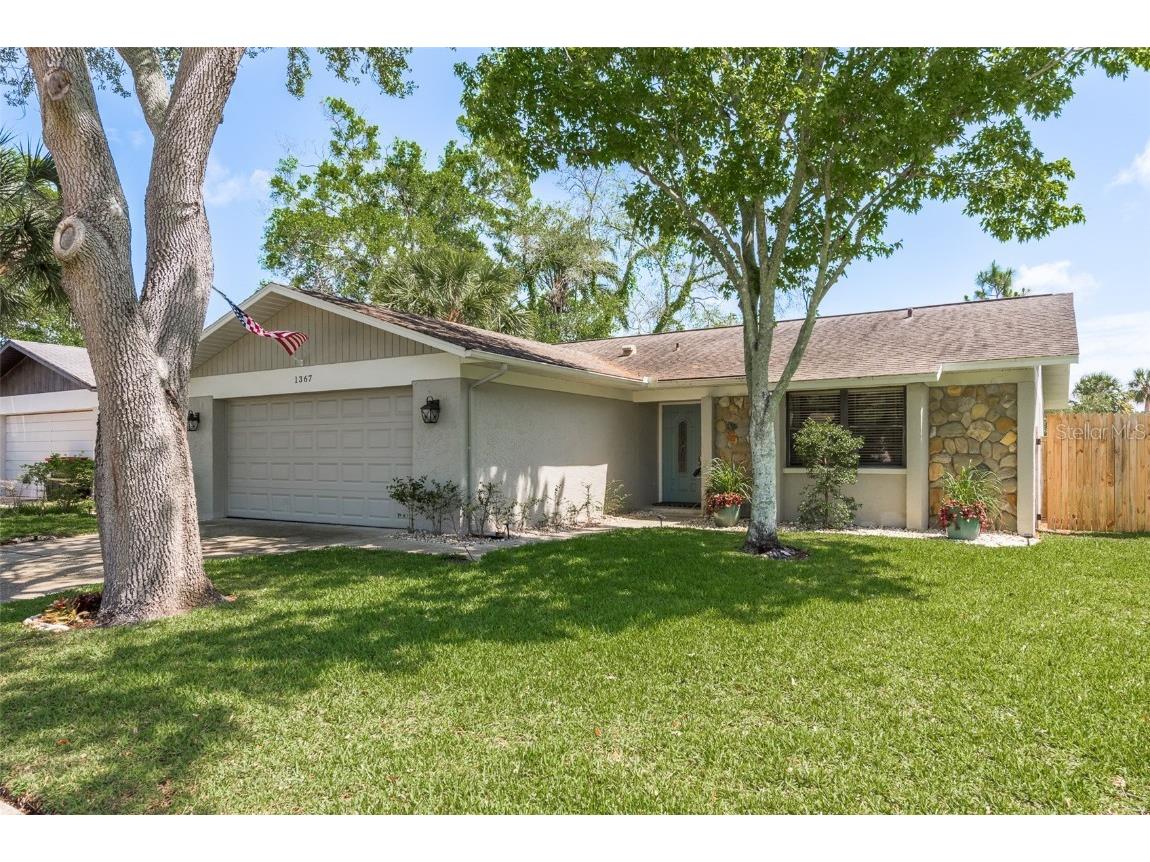 1367 Homestead Drive Palm Harbor FL 34683 U8236870 image1