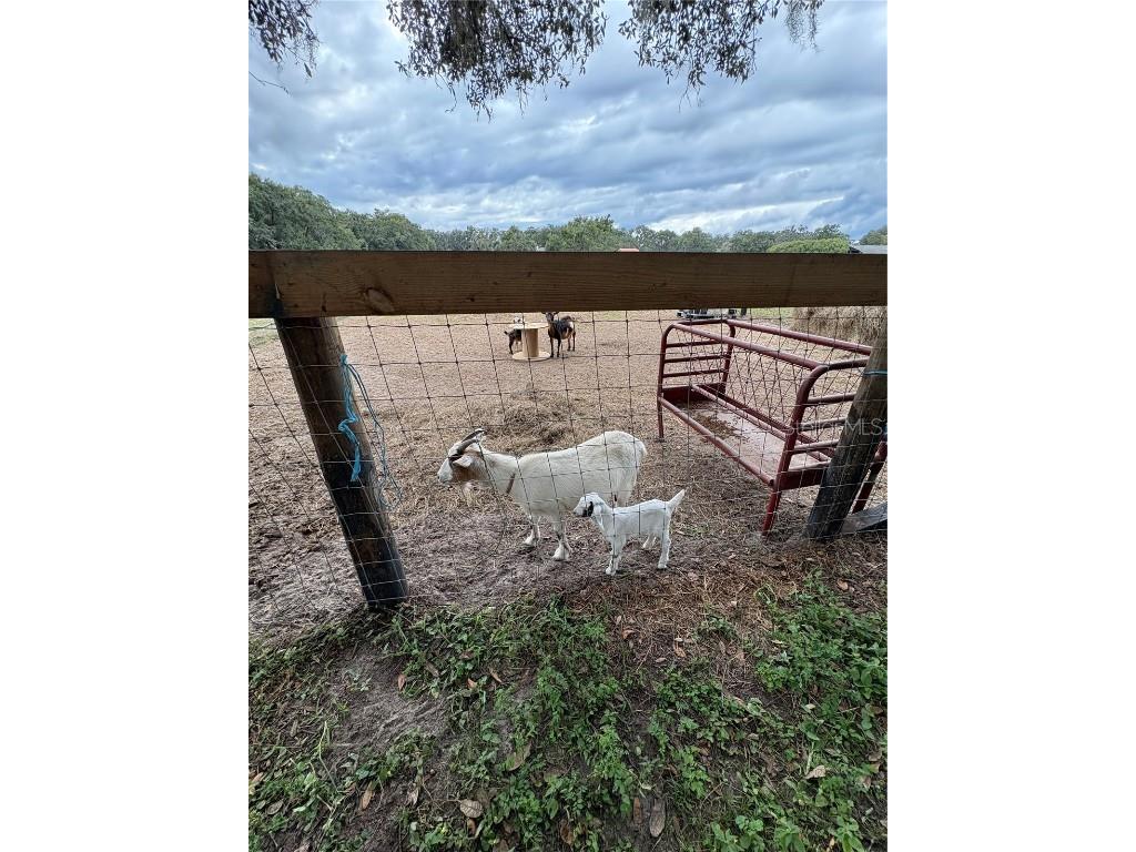 13676 NE Jacksonville Road Citra FL 32113 OM713214 image23