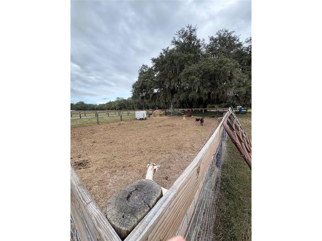 13676 NE Jacksonville Road Citra FL 32113 OM713214 image25