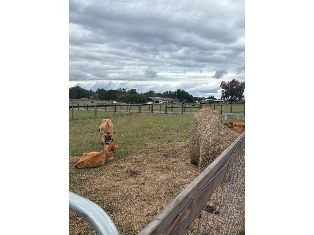 13676 NE Jacksonville Road Citra FL 32113 OM713214 image26