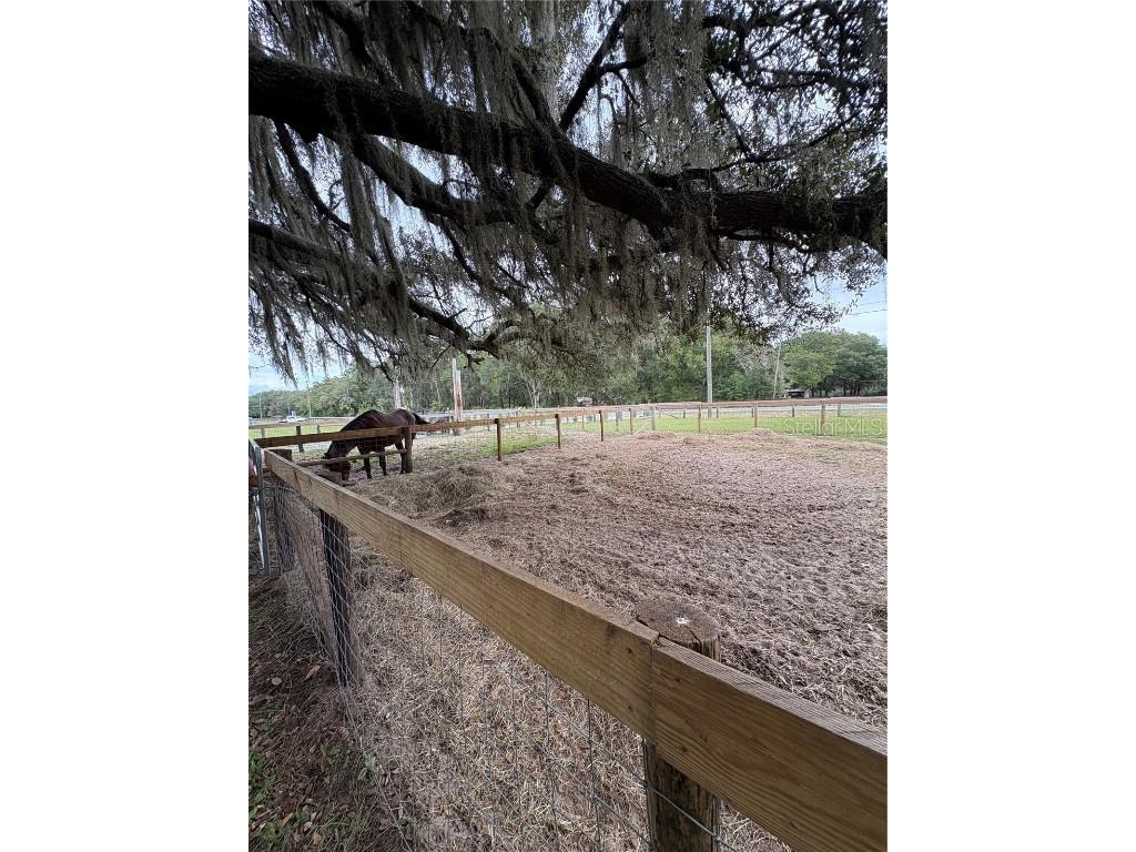 13676 NE Jacksonville Road Citra FL 32113 OM713214 image28