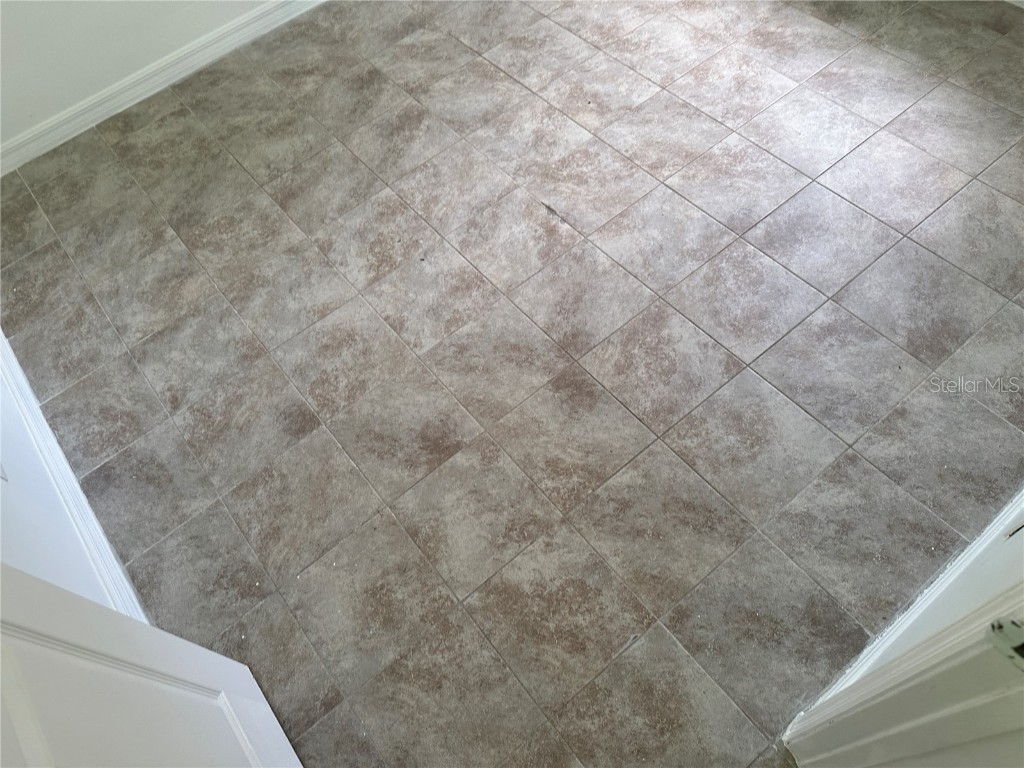 13678 SE 55th Avenue Summerfield FL 34491 OM706047 image32