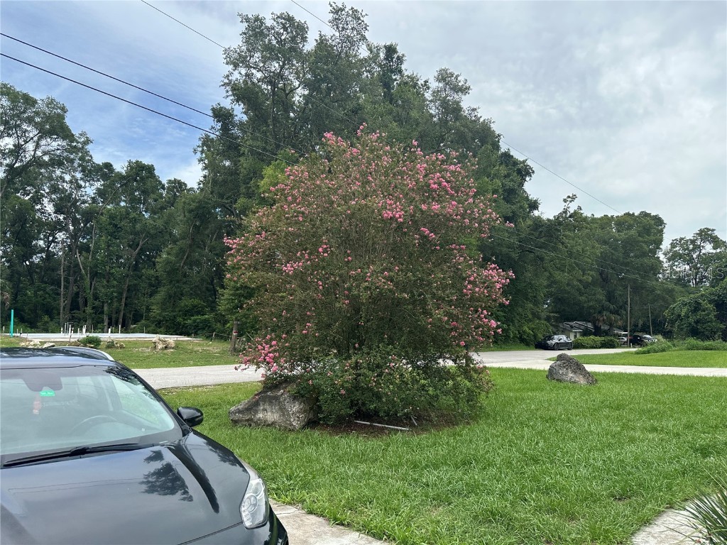 13678 SE 55th Avenue Summerfield FL 34491 OM706047 image8