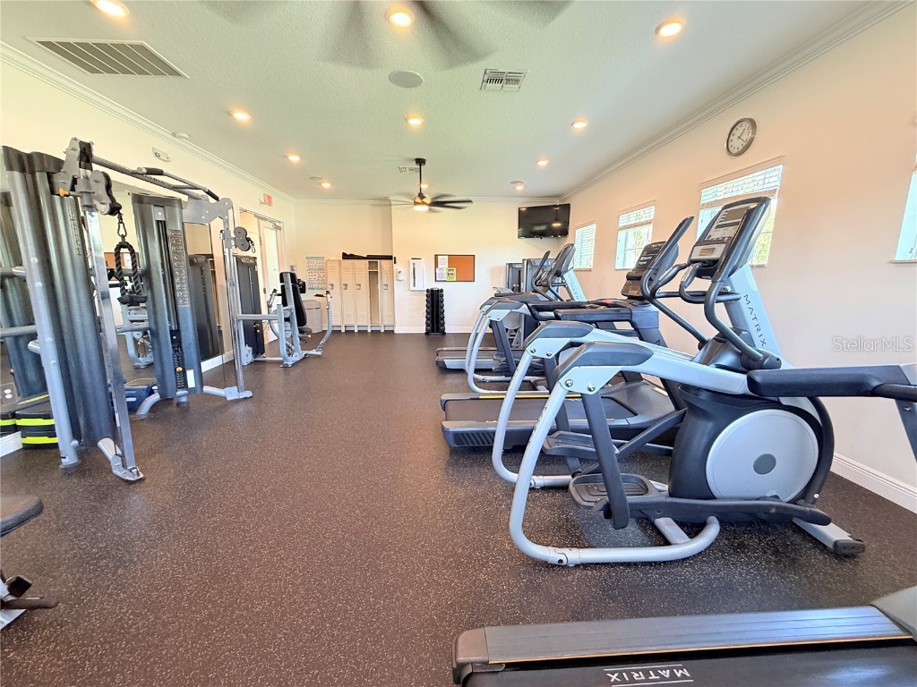 13678 Sea Bridge Drive Hudson FL 34669 TB8421180 image58