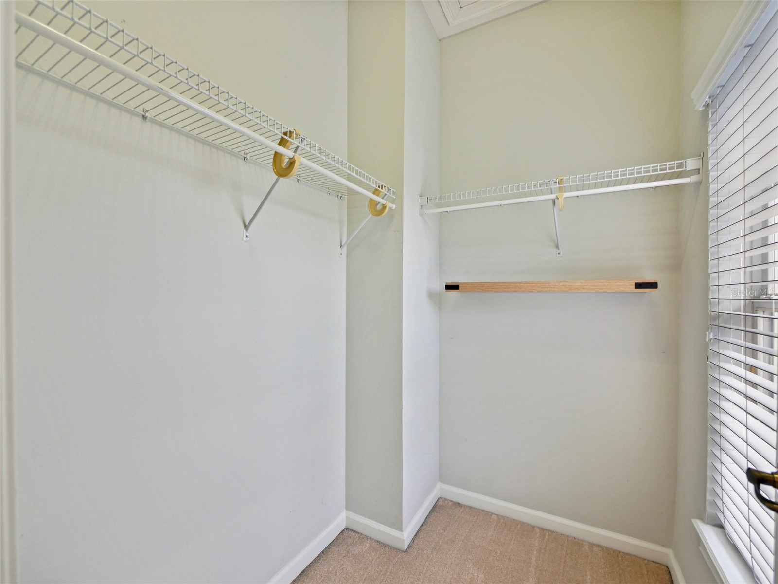 13679 Eridanus Drive Orlando FL 32828 O6399905 image29