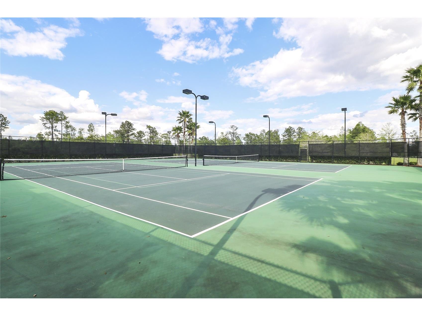 13679 Eridanus Drive Orlando FL 32828 O6399905 image39