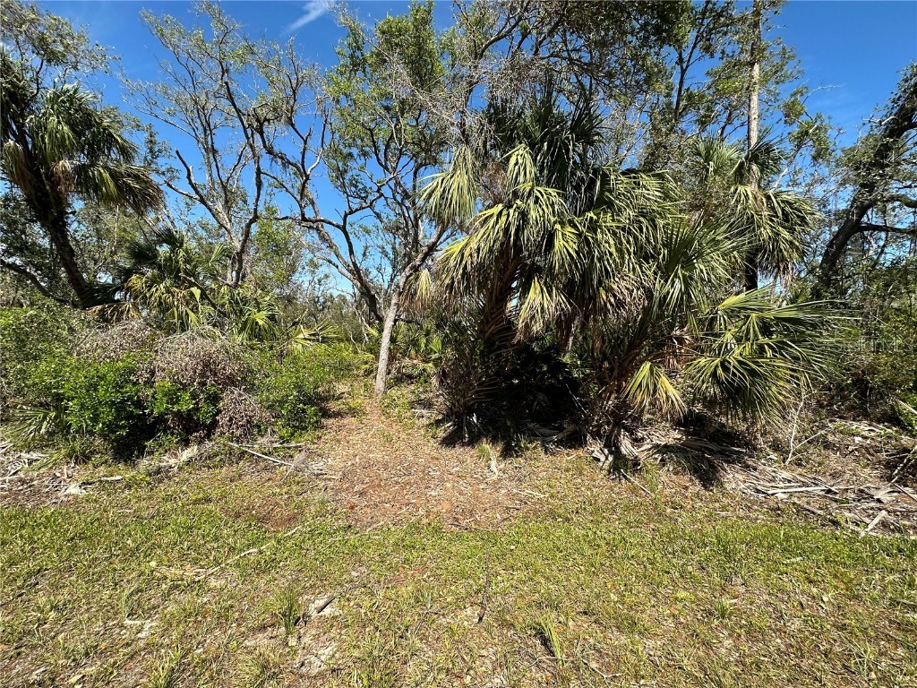 1368 Hammacher Lane Port Charlotte FL 33953 C7473228 image1