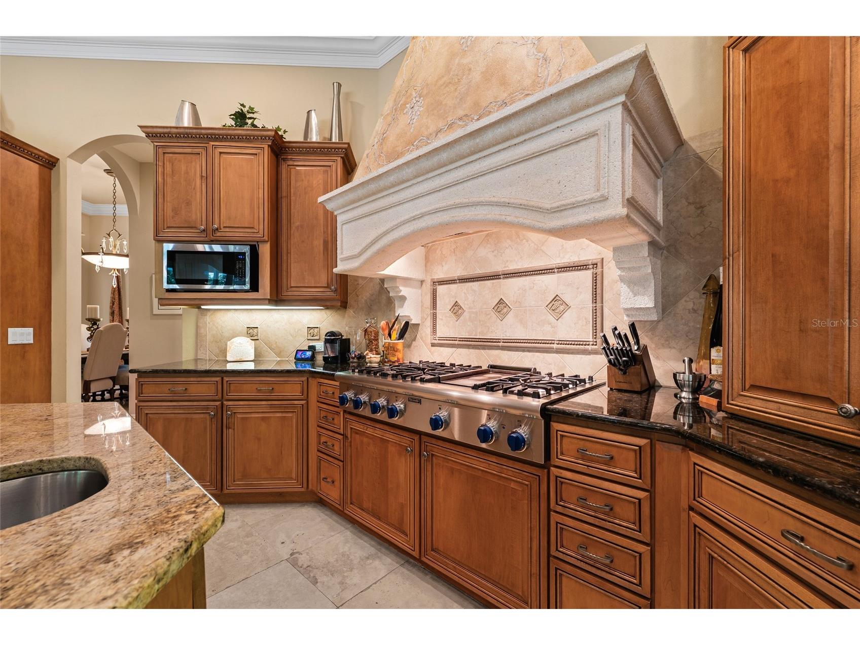 1368 Playmoor Drive Palm Harbor FL 34683 TB8477848 image15