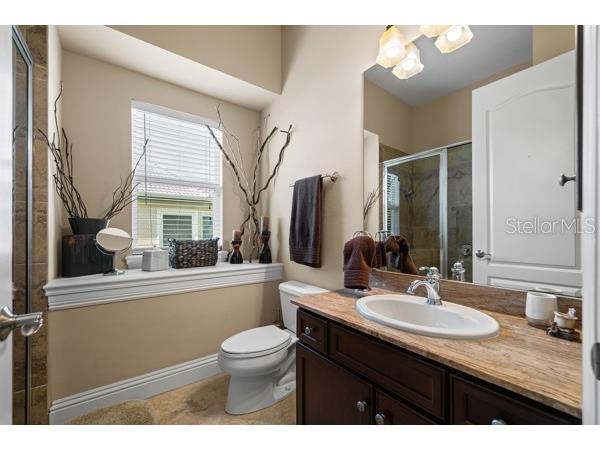 1368 Playmoor Drive Palm Harbor FL 34683 TB8477848 image37