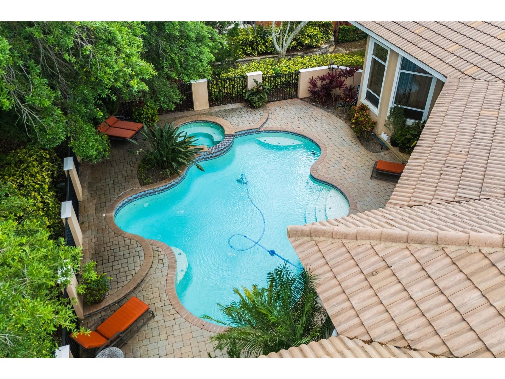 1368 Playmoor Drive Palm Harbor FL 34683 TB8477848 image56