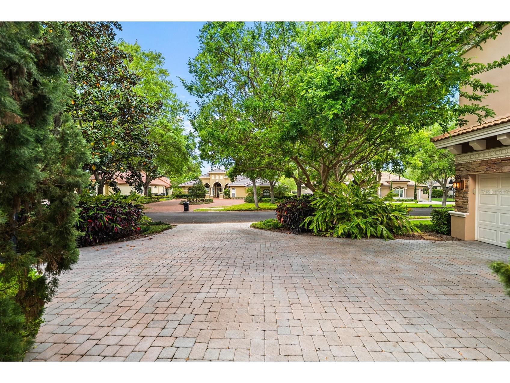 1368 Playmoor Drive Palm Harbor FL 34683 TB8477848 image61
