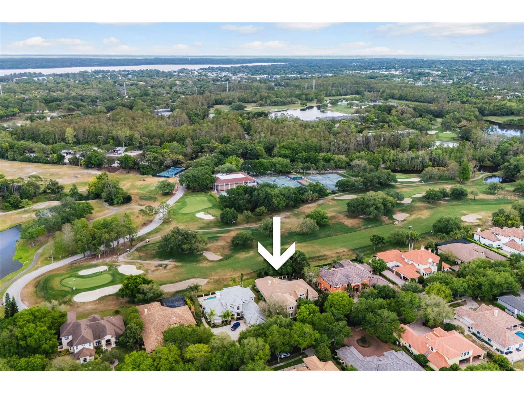 1368 Playmoor Drive Palm Harbor FL 34683 TB8477848 image66