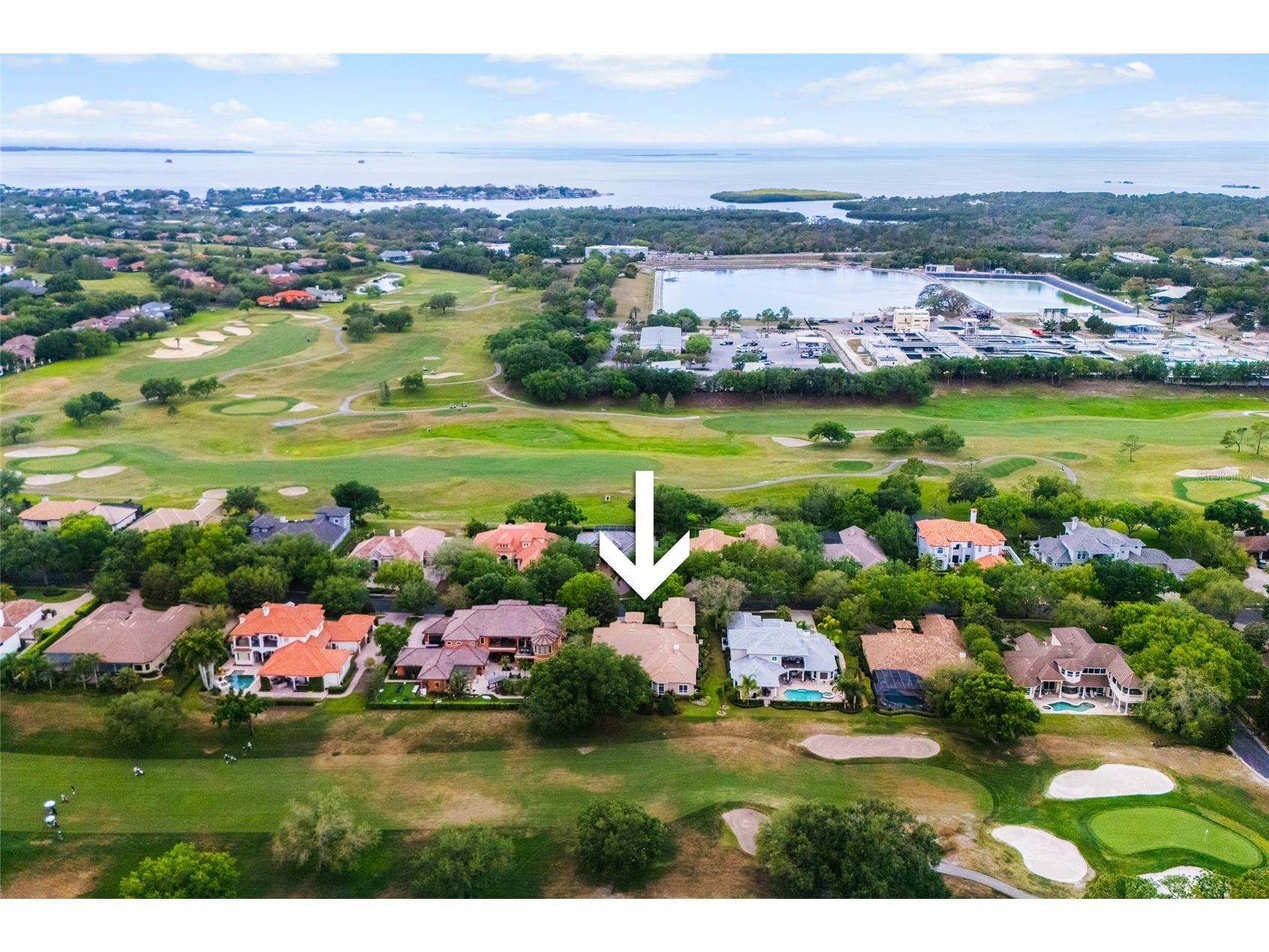 1368 Playmoor Drive Palm Harbor FL 34683 TB8477848 image68