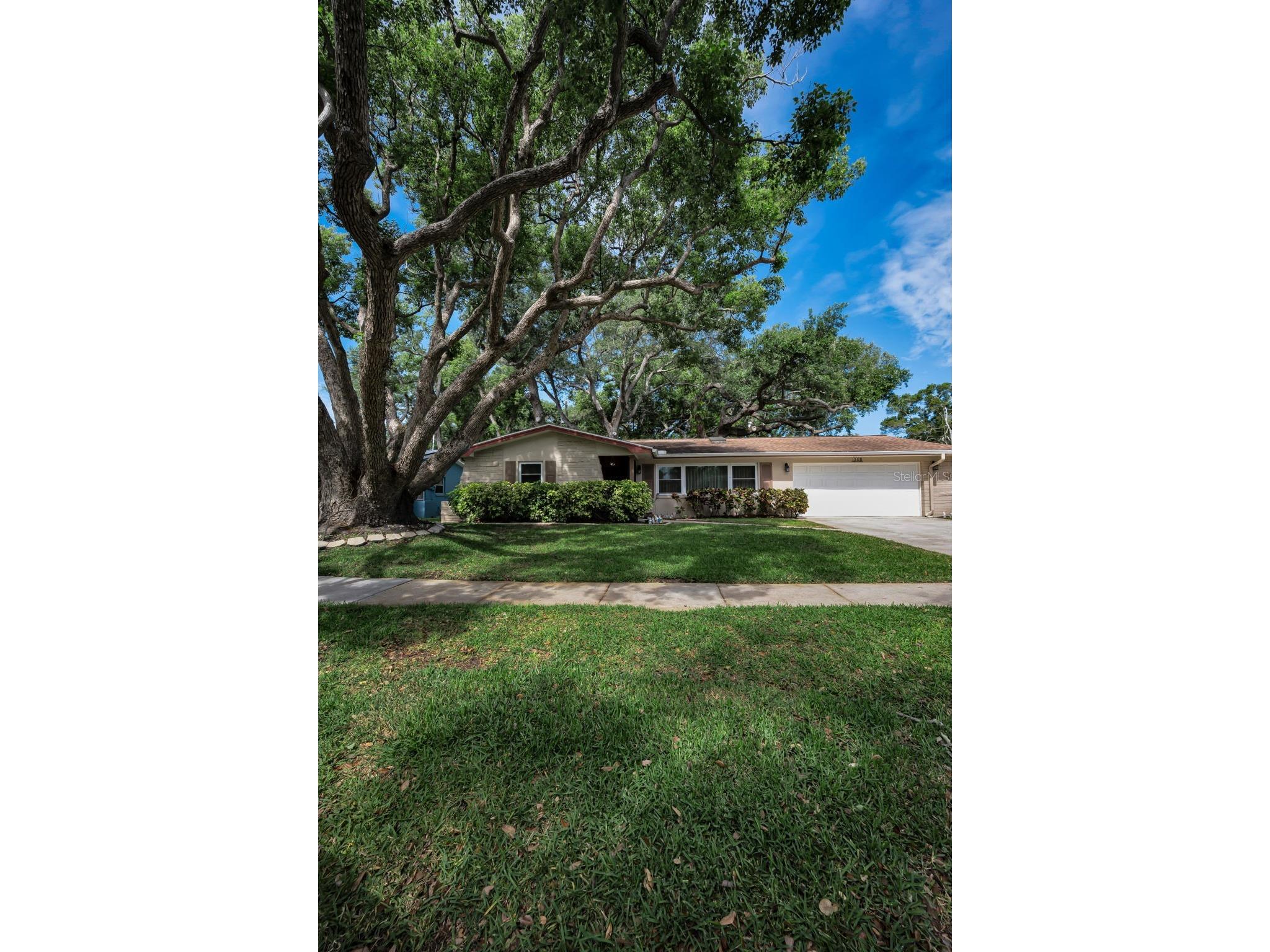 1368 Williams Drive Clearwater FL 33764 TB8503053 image3