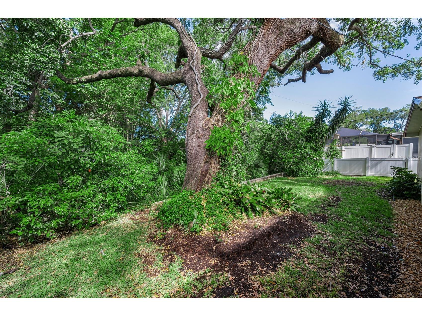 1368 Williams Drive Clearwater FL 33764 TB8503053 image30