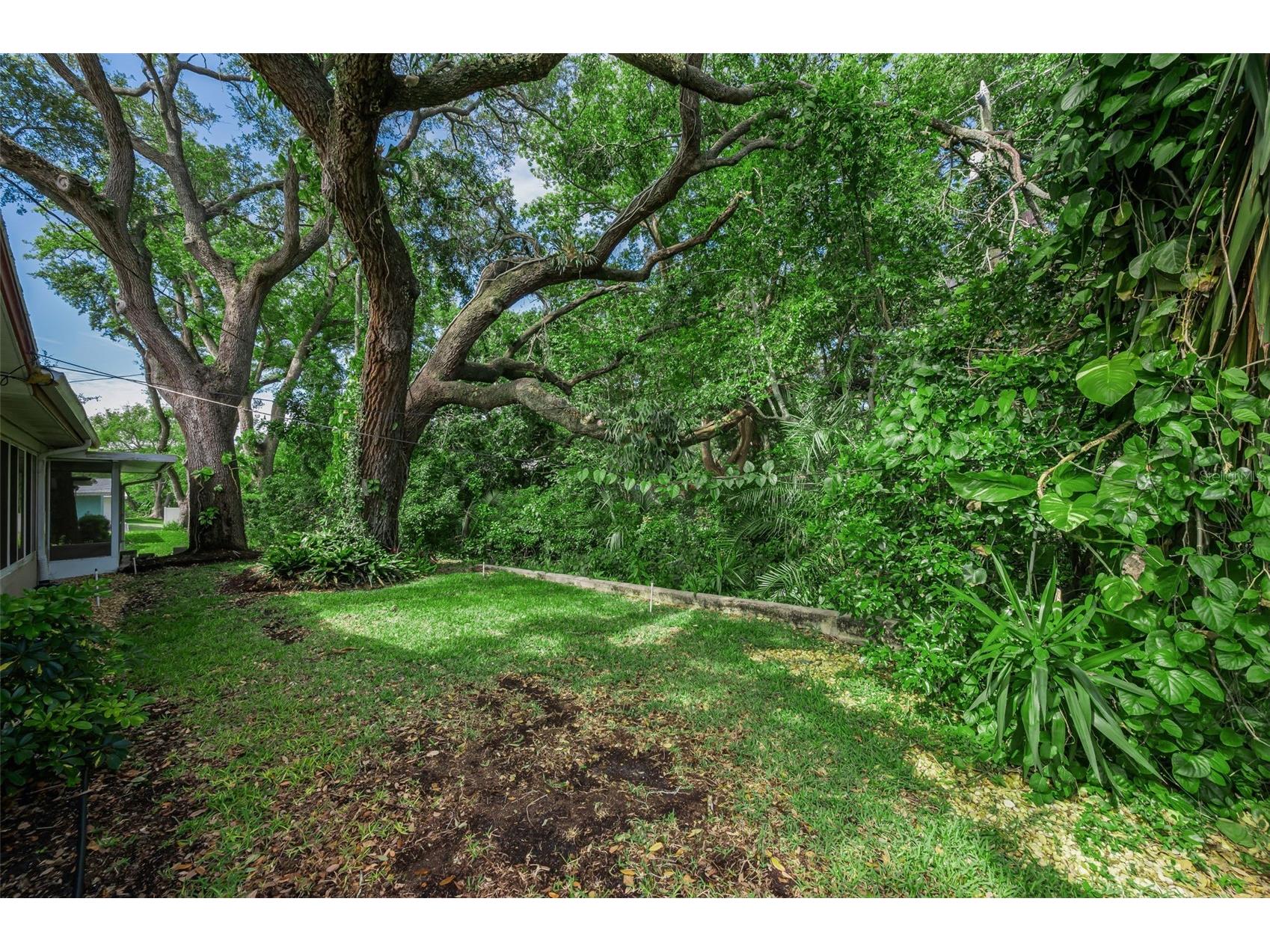 1368 Williams Drive Clearwater FL 33764 TB8503053 image31