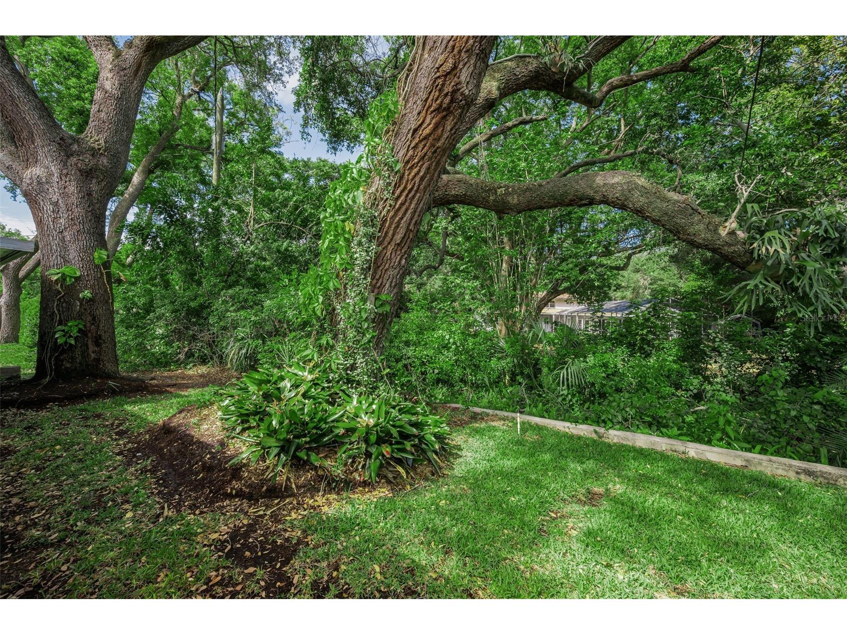 1368 Williams Drive Clearwater FL 33764 TB8503053 image32