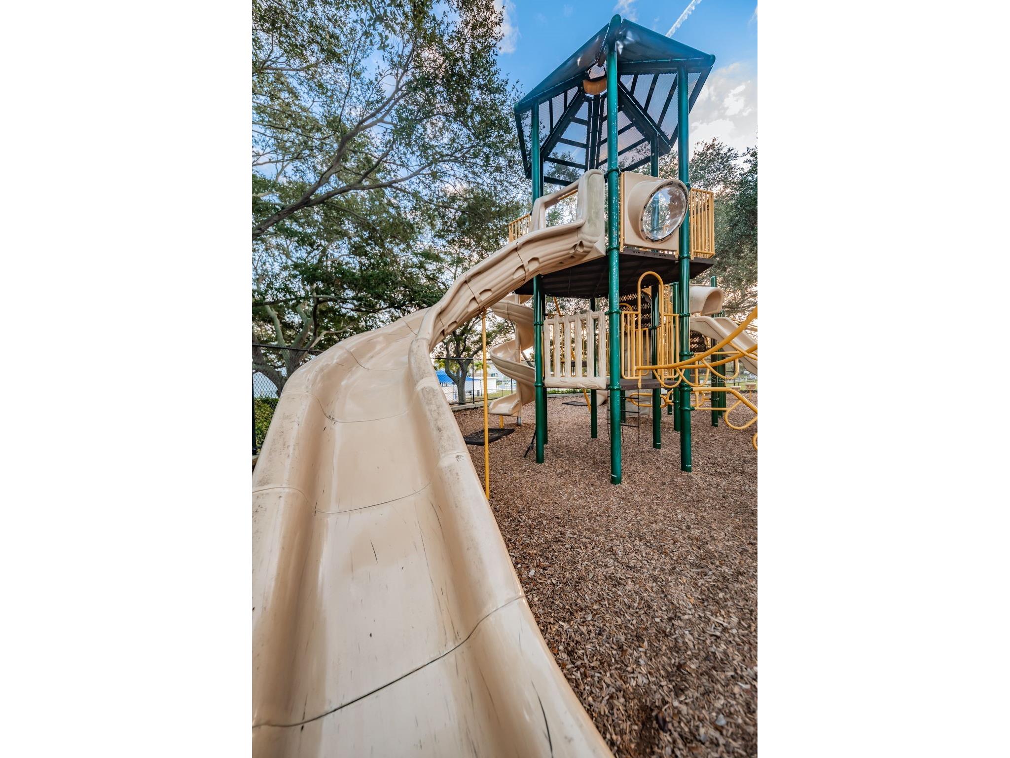 1368 Williams Drive Clearwater FL 33764 TB8503053 image42