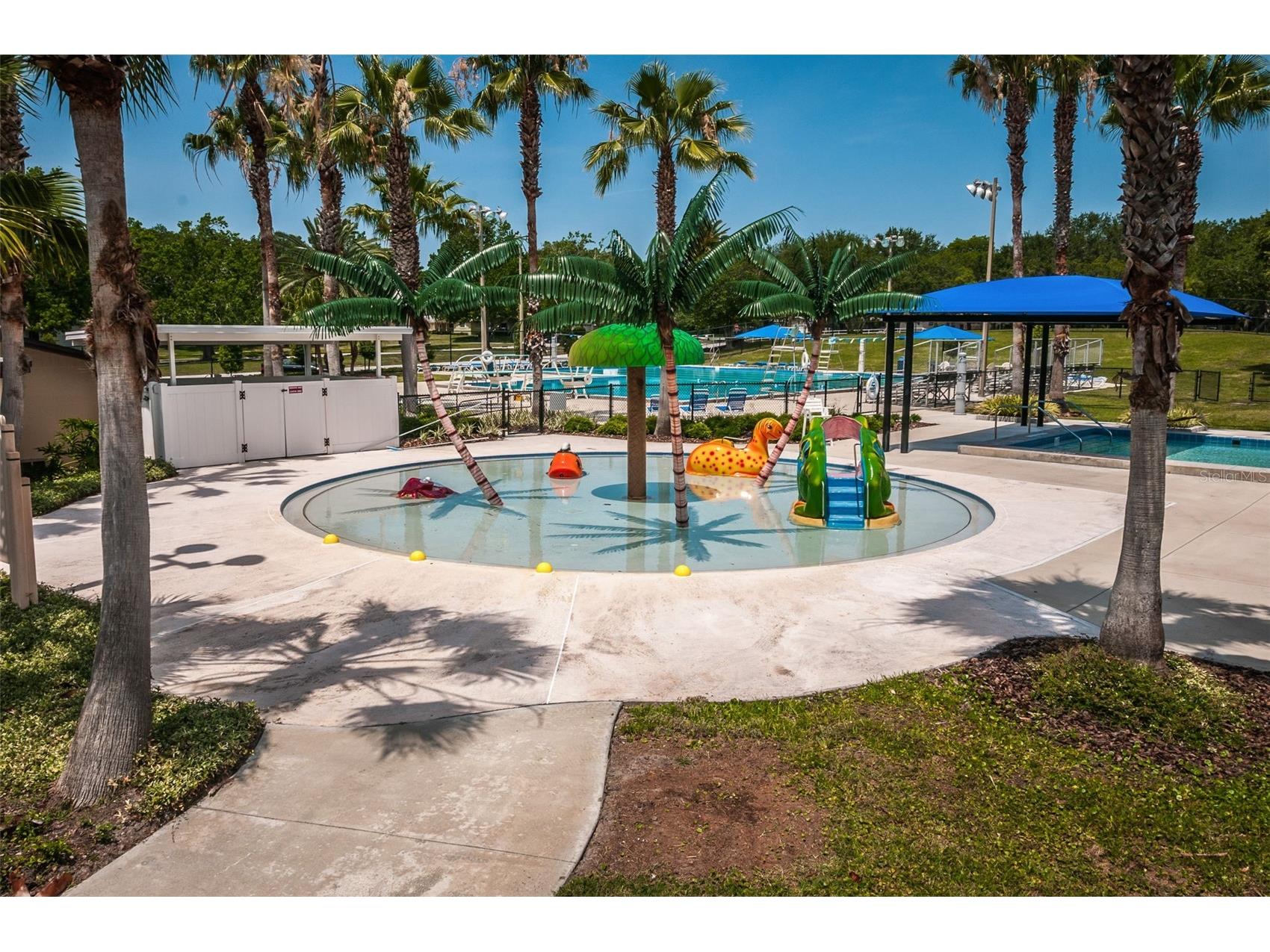 1368 Williams Drive Clearwater FL 33764 TB8503053 image45