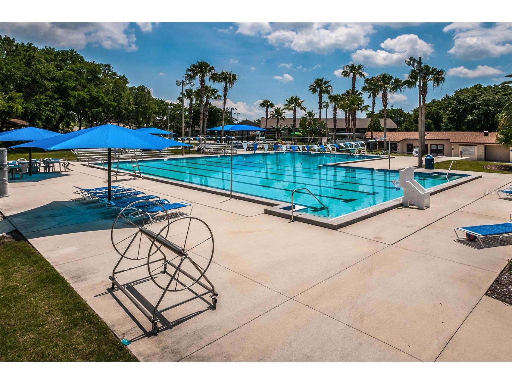 1368 Williams Drive Clearwater FL 33764 TB8503053 image46