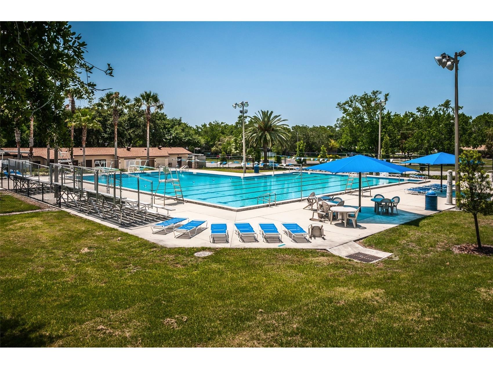1368 Williams Drive Clearwater FL 33764 TB8503053 image47