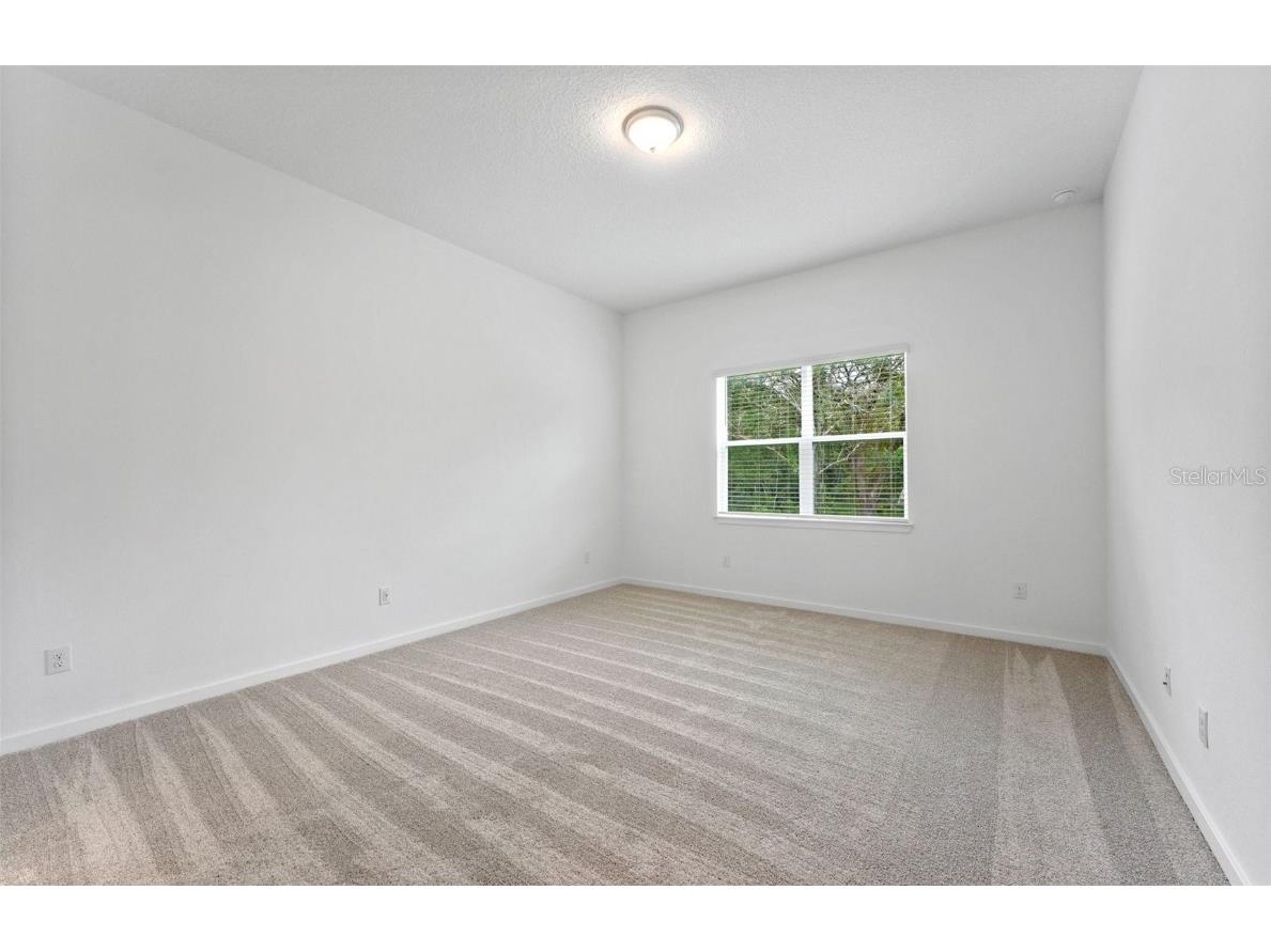 13682 Canyon Ridge Road Spring Hill FL 34610 TB8401589 image8