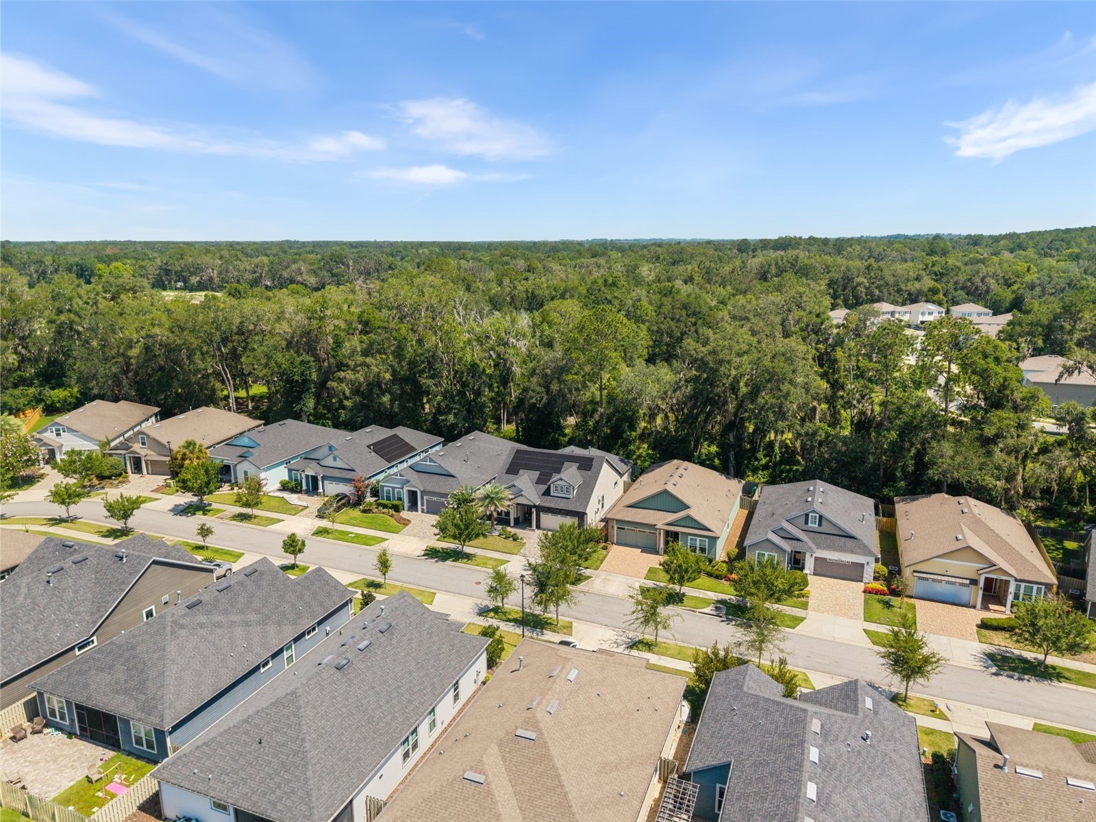 13688 NW 12th Place Newberry FL 32669 GC541494 image38