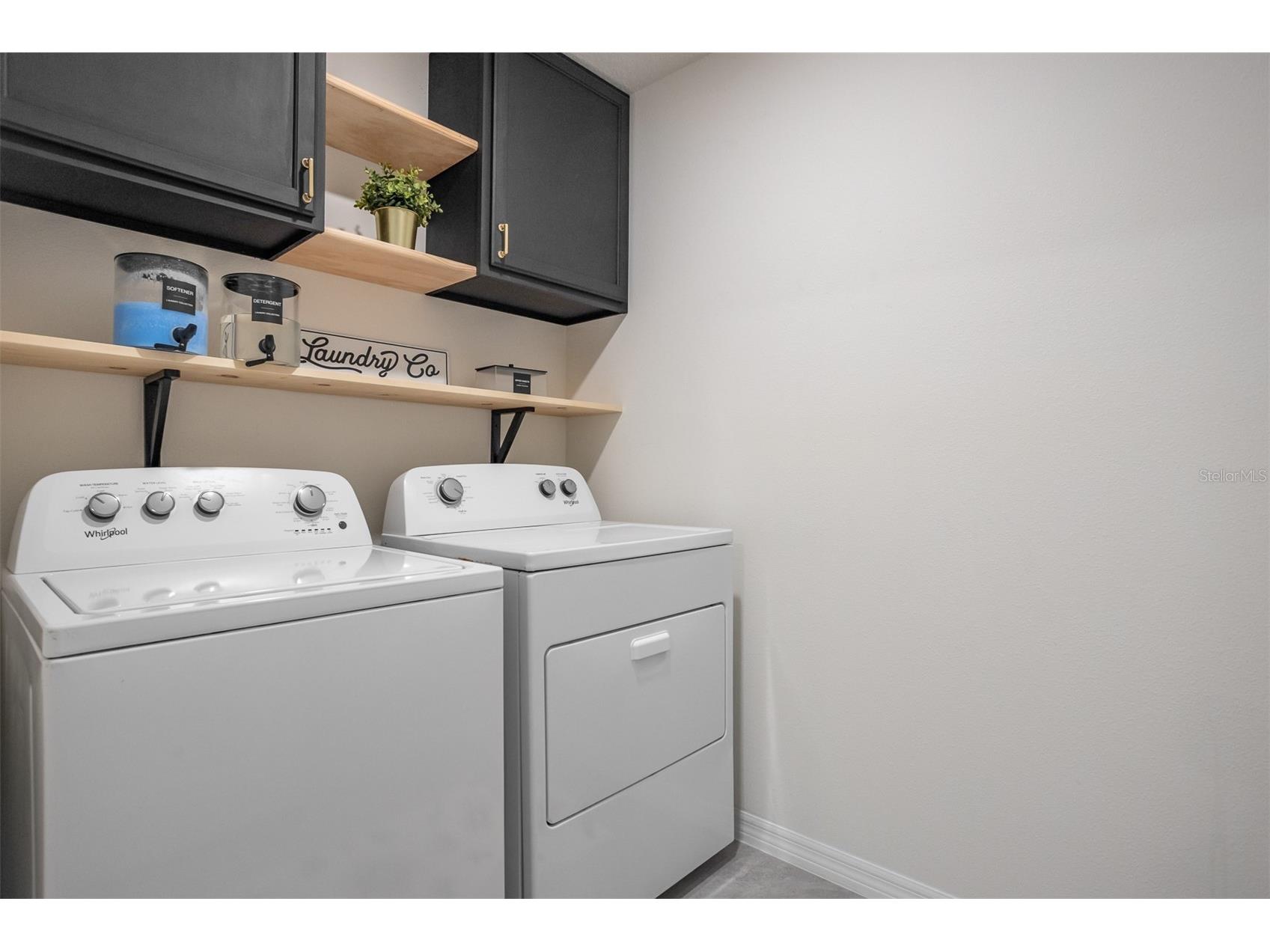 13688 Wineberry Drive Dade City FL 33525 TB8510571 image33