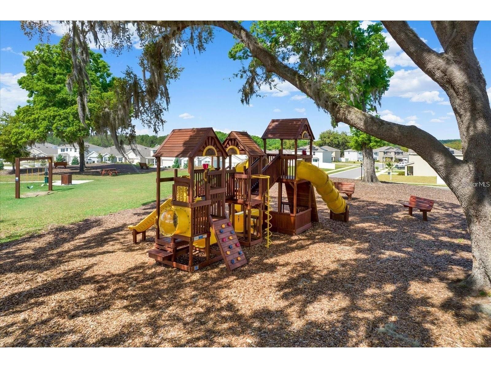 13688 Wineberry Drive Dade City FL 33525 TB8510571 image4