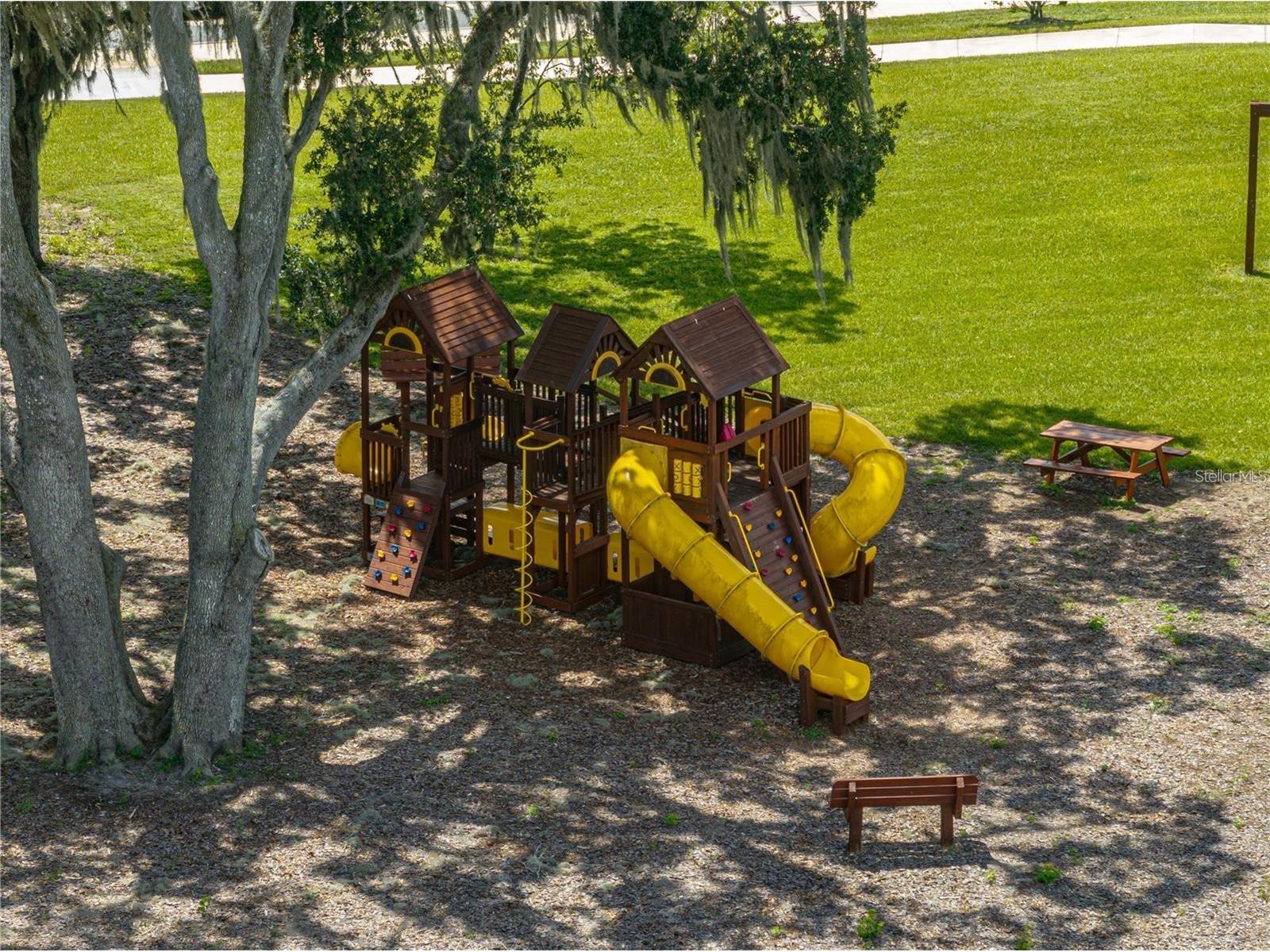 13688 Wineberry Drive Dade City FL 33525 TB8510571 image46