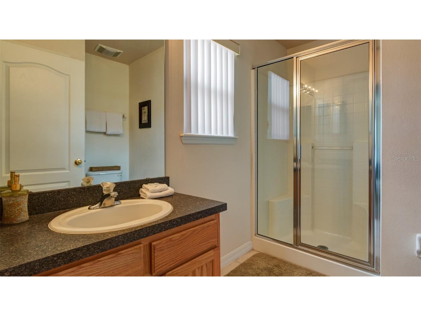 1369 Royal Ridge Drive Davenport FL 33896 S5139150 image37