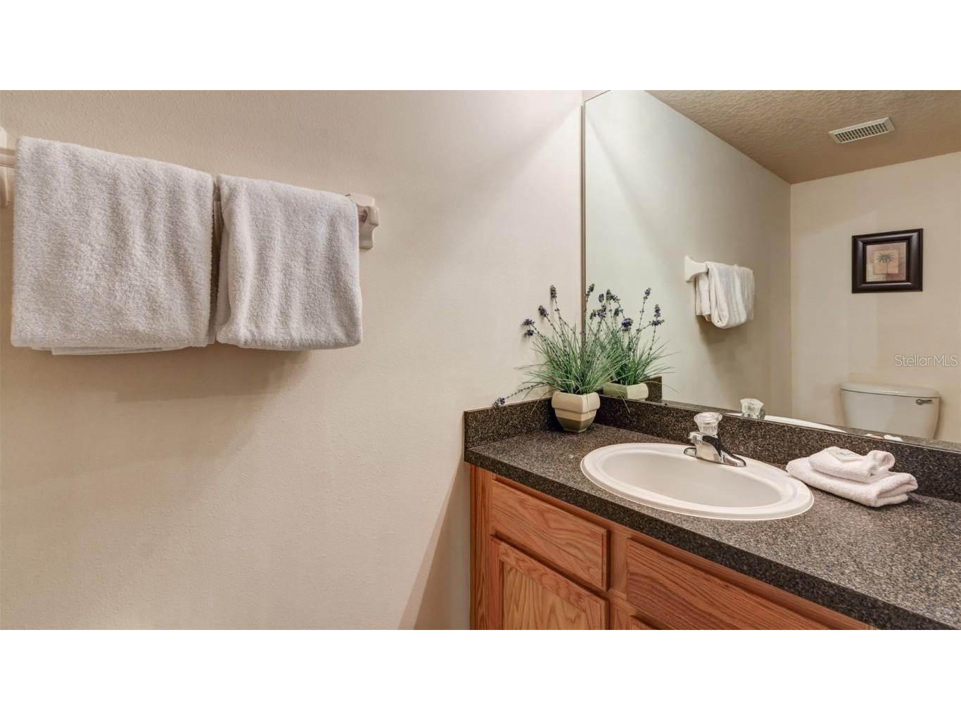 1369 Royal Ridge Drive Davenport FL 33896 S5139150 image42