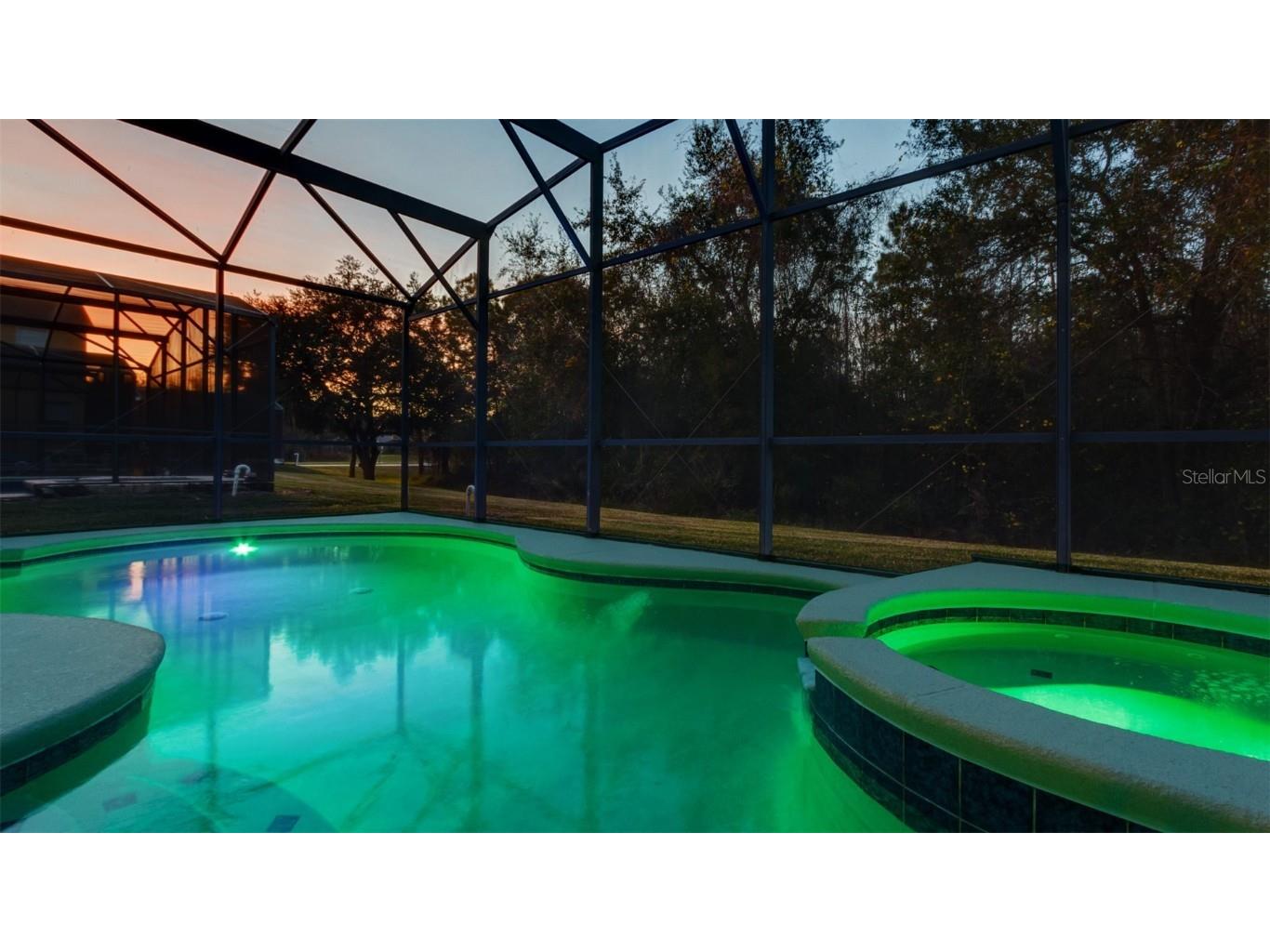 1369 Royal Ridge Drive Davenport FL 33896 S5139150 image49
