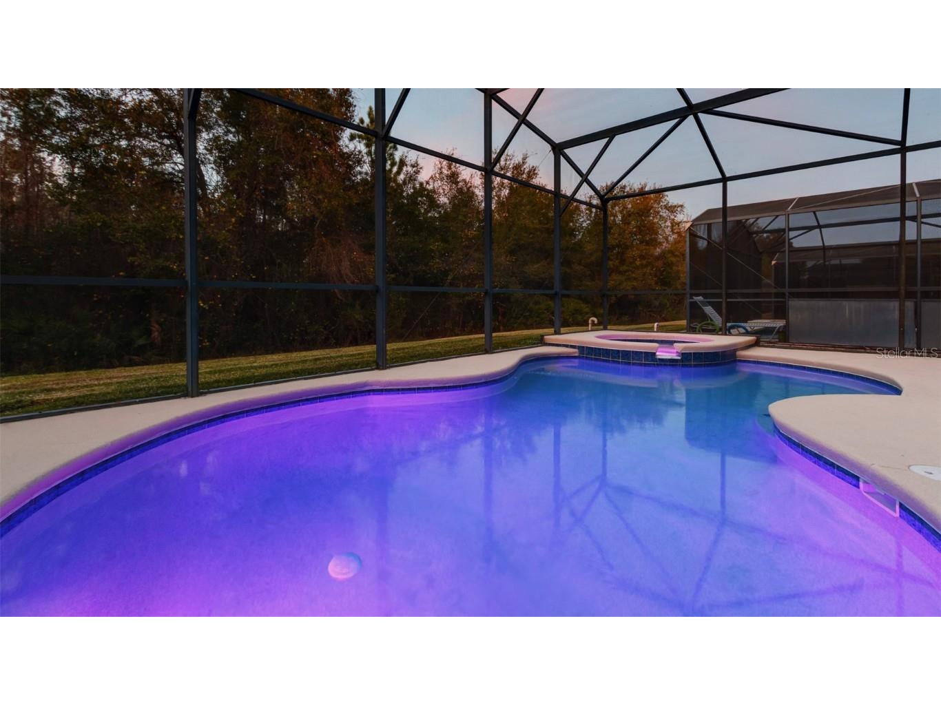 1369 Royal Ridge Drive Davenport FL 33896 S5139150 image55