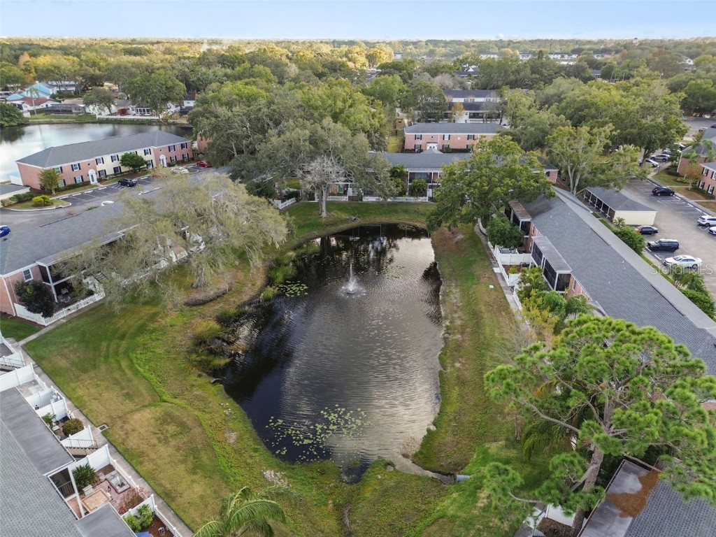 13691 Orange Sunset Drive #201 Tampa FL 33618 TB8456608 image33