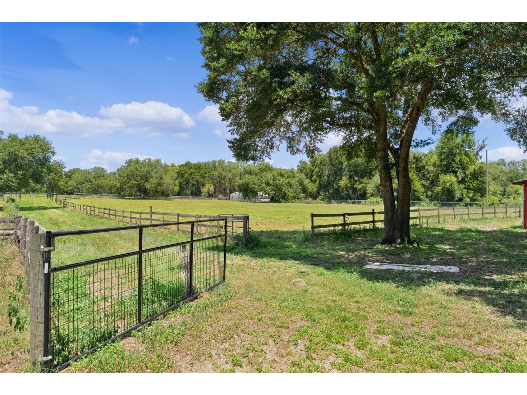 13691 S Hwy 25 Eastlake Weir FL 32133 G5114569 image36