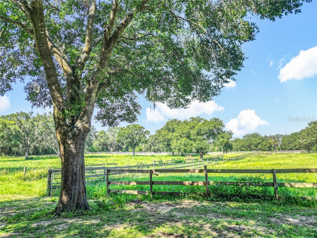 13691 S Hwy 25 Eastlake Weir FL 32133 OM708195 image41