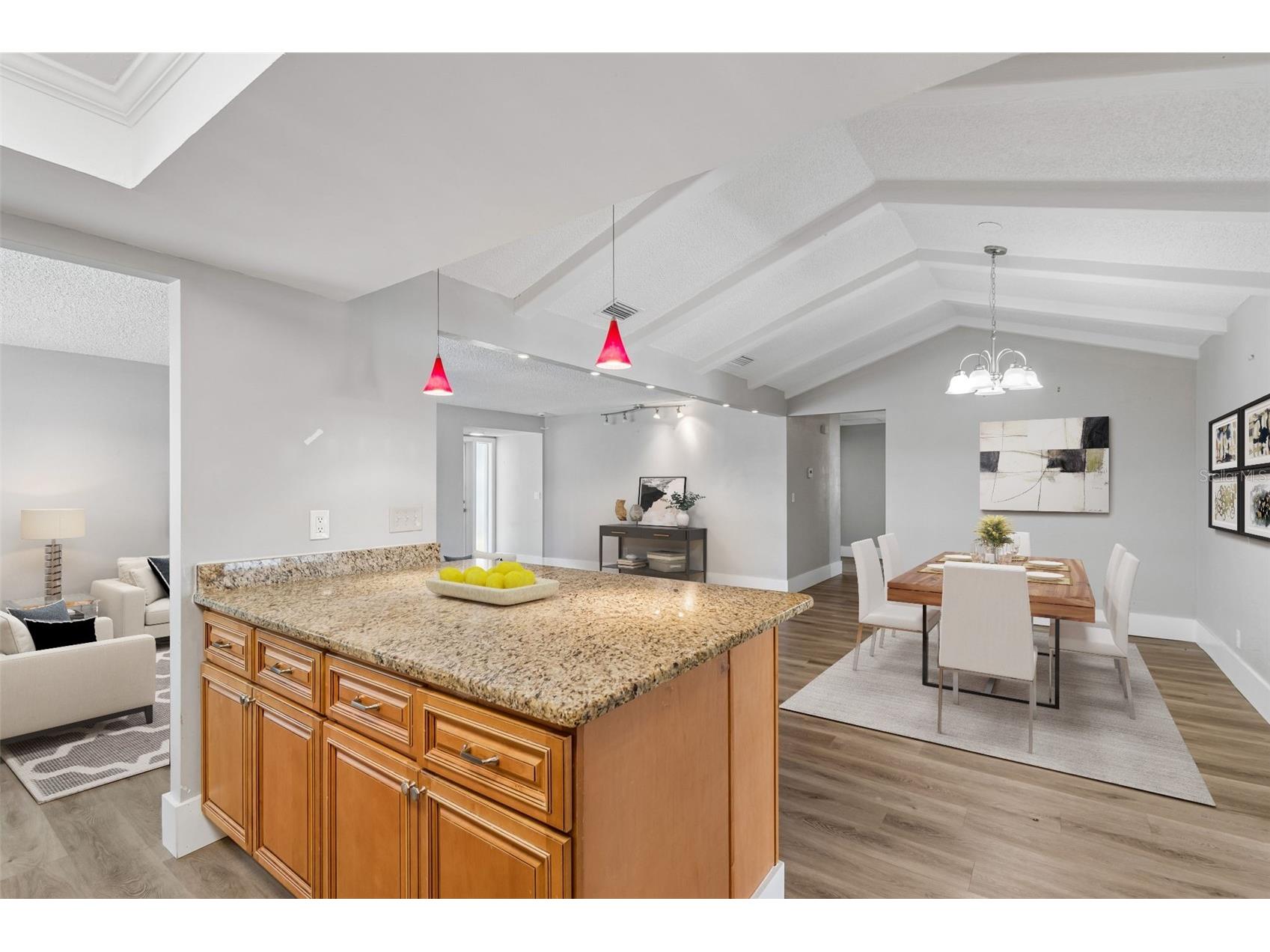 13691 Serena Drive Largo FL 33774 TB8506261 image11