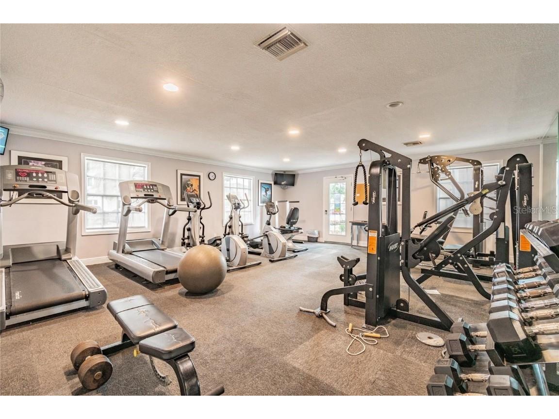 13692 Orange Sunset Drive #201 Tampa FL 33618 - LAKE MAGDALENE TB8402243 image13