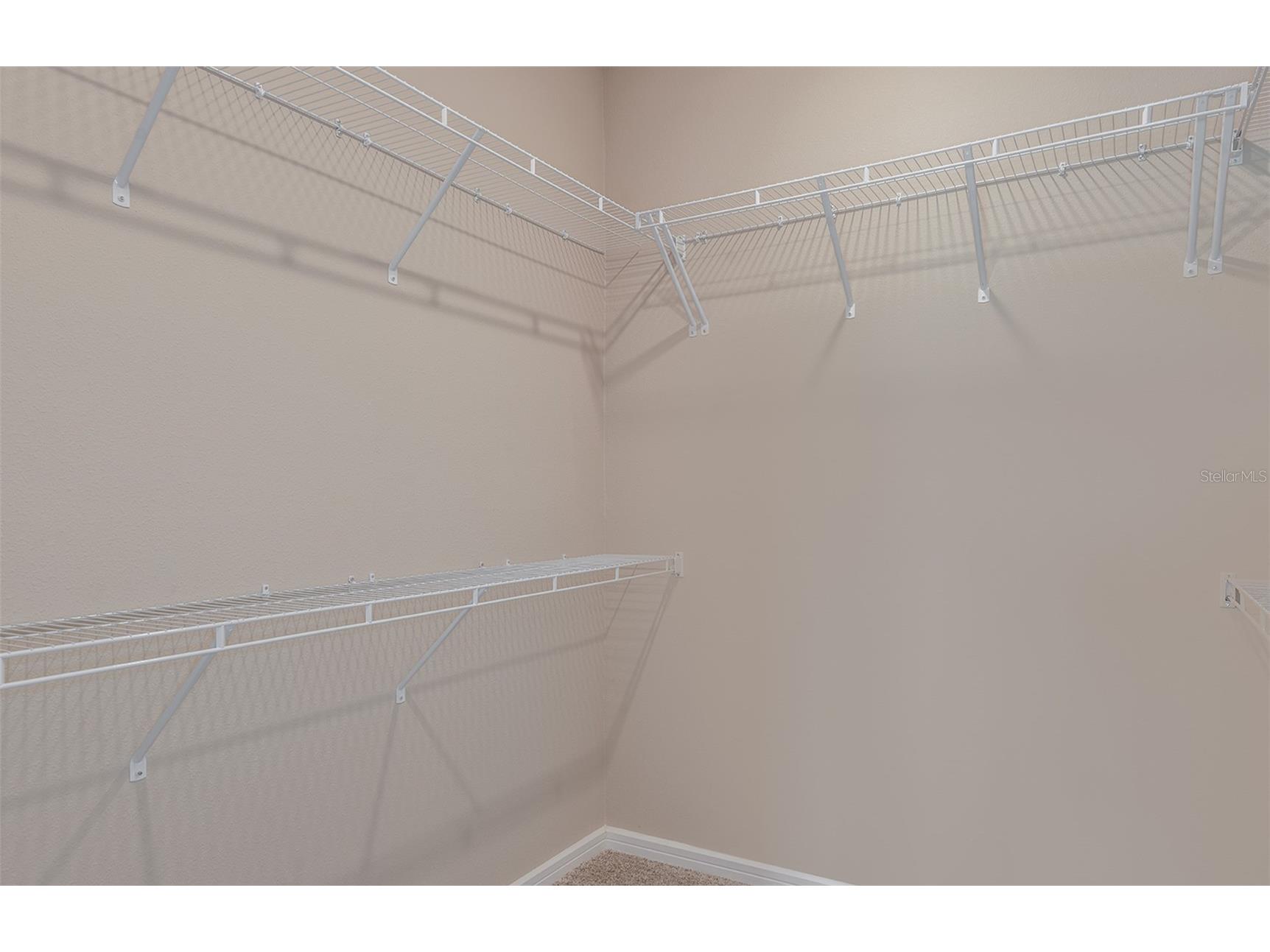 13693 Canyon Ridge Road Spring Hill FL 34610 TB8430936 image9