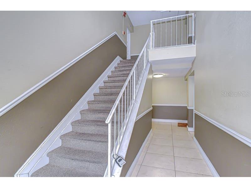 13693 Orange Sunset Drive #203 Tampa FL 33618 - LAKE MAGDALENE TB8455087 image10