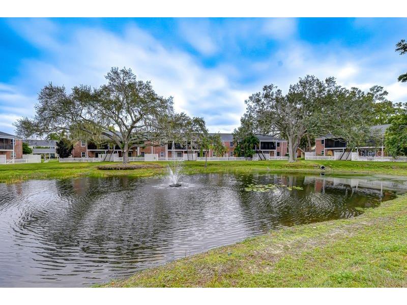13693 Orange Sunset Drive #203 Tampa FL 33618 - LAKE MAGDALENE TB8455087 image26