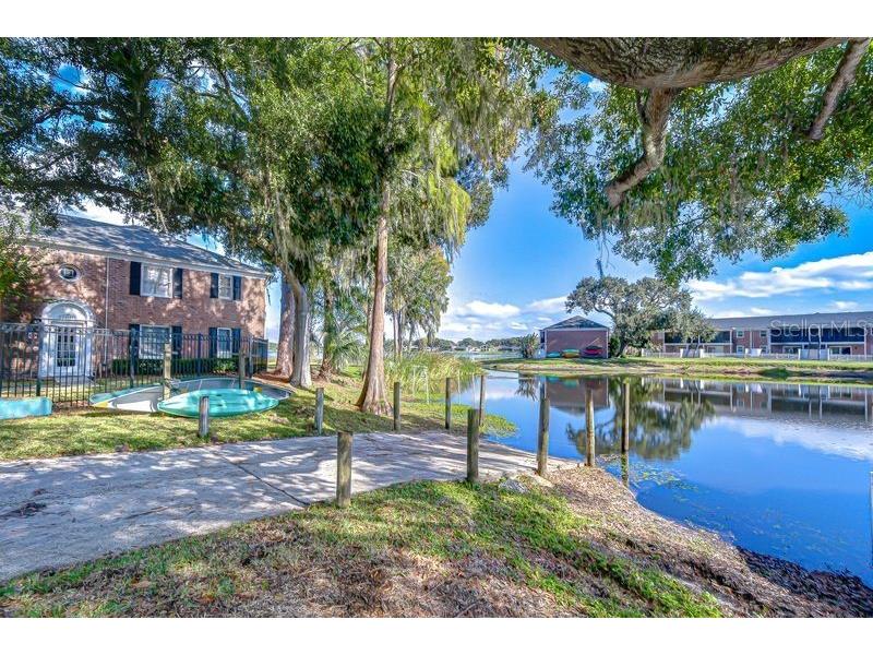 13693 Orange Sunset Drive #203 Tampa FL 33618 - LAKE MAGDALENE TB8455087 image43