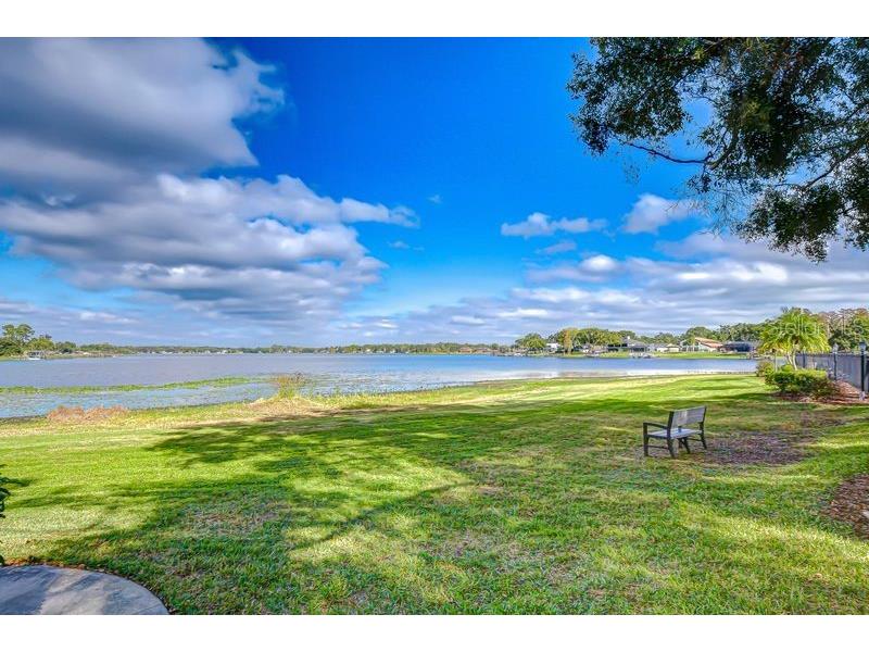 13693 Orange Sunset Drive #203 Tampa FL 33618 - LAKE MAGDALENE TB8455087 image45